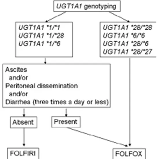 UGT1A1 28 Genotyping Irinotecan
